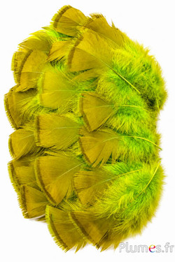 Bronzetruthahn - gebleicht - 5-15 cm - limette-karamell